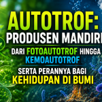 Autotrof