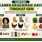 Contoh Keanekaragaman Hayati Tingkat Gen