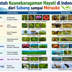 Contoh Keanekaragaman Hayati di Indonesia