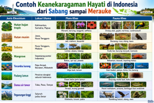 Contoh Keanekaragaman Hayati di Indonesia