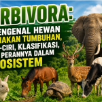 Herbivora