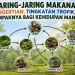 Jaring-Jaring Makanan