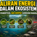 Aliran Energi Ekosistem