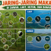 Contoh Jaring-Jaring Makanan