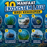 Manfaat Ekosistem Laut