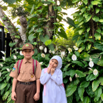 Sirih Gading Cocok Ditaruh di Mana