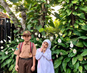 Sirih Gading Cocok Ditaruh di Mana