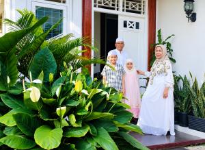 Media Tanam Peace Lily