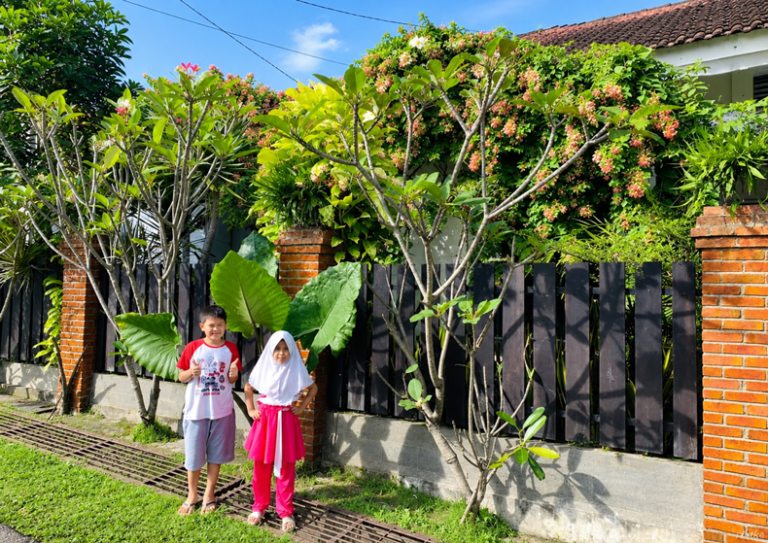 Melati Belanda