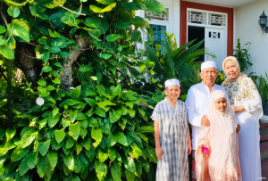 Penyebab Ujung Daun Peace Lily Cokelat