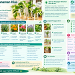 Propagasi Tanaman Hias di Air