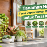 Tanaman Hias Teras Depan Rumah Minimalis untuk Teras Kecil