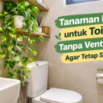 Tanaman Hias untuk Toilet Tanpa Ventilasi Agar Tetap Sejuk