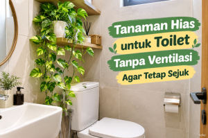 Tanaman Hias untuk Toilet Tanpa Ventilasi Agar Tetap Sejuk